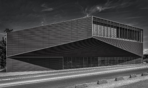 Vétérinaire de garde Montauban
